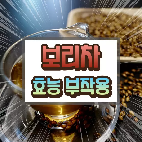보리차 효능 부작용