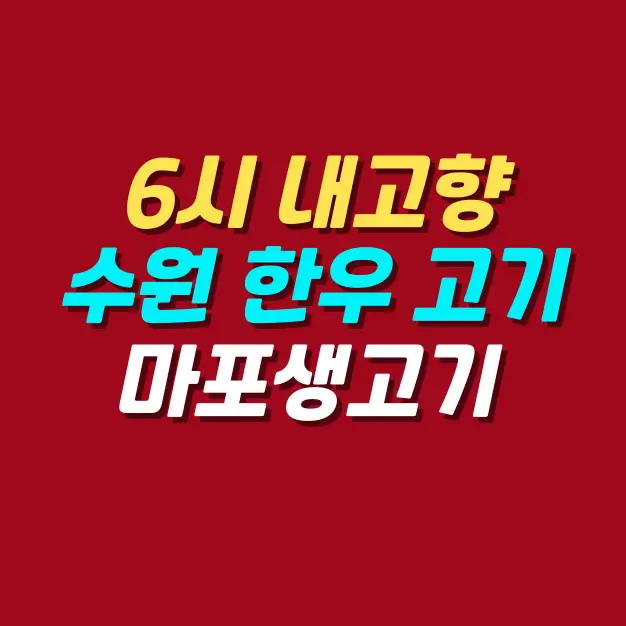 6시-내고향-수원-한우-고기-맛집