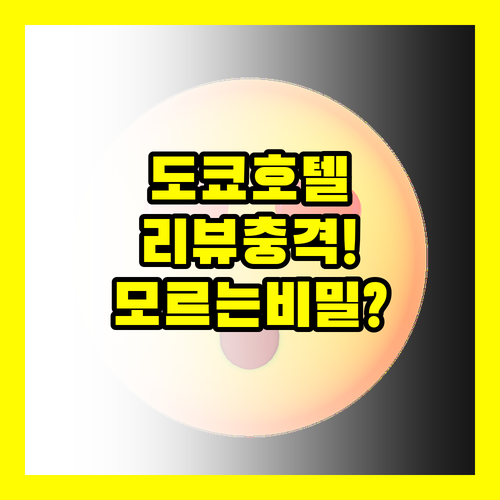 도쿄 호텔 3곳 실제 리뷰 충격 비교..