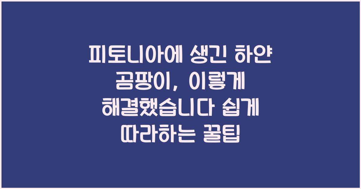 피토니아에 생긴 하얀 곰팡이, 이렇게 해결했습니다