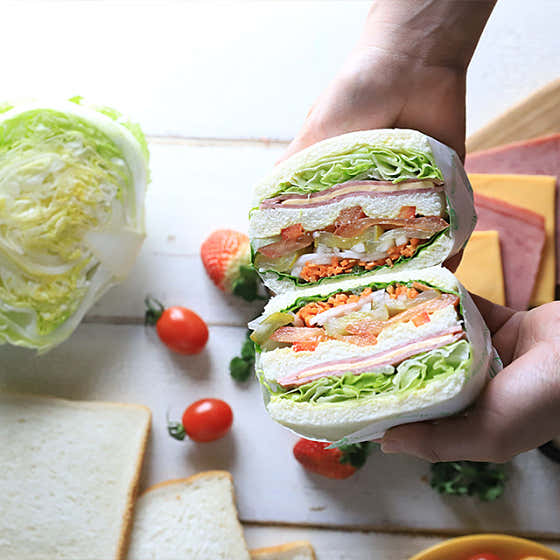 생방송투데이 샌드위치 고수 청주