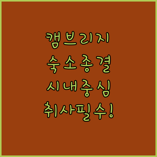 캠브리지 여행 숙소 비교 분석 시내 ..