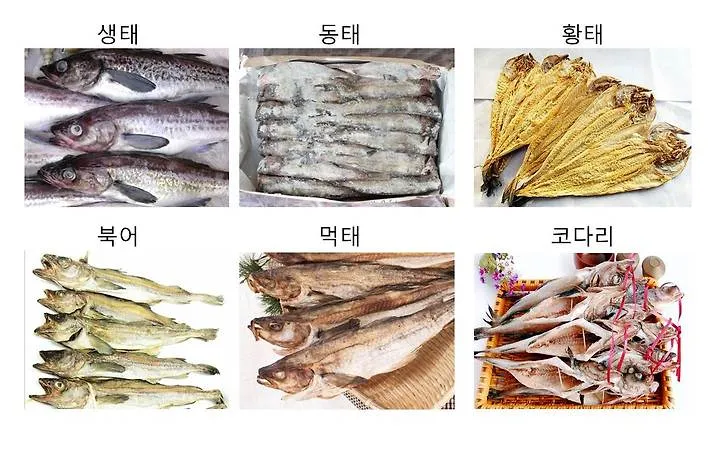 먹태 황태 차이 특징 칼로리 레시피_2
