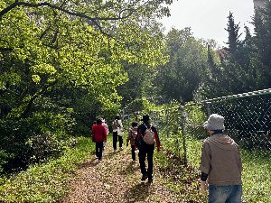 매일 만보는 걸어야 건강에 도움이 될까?