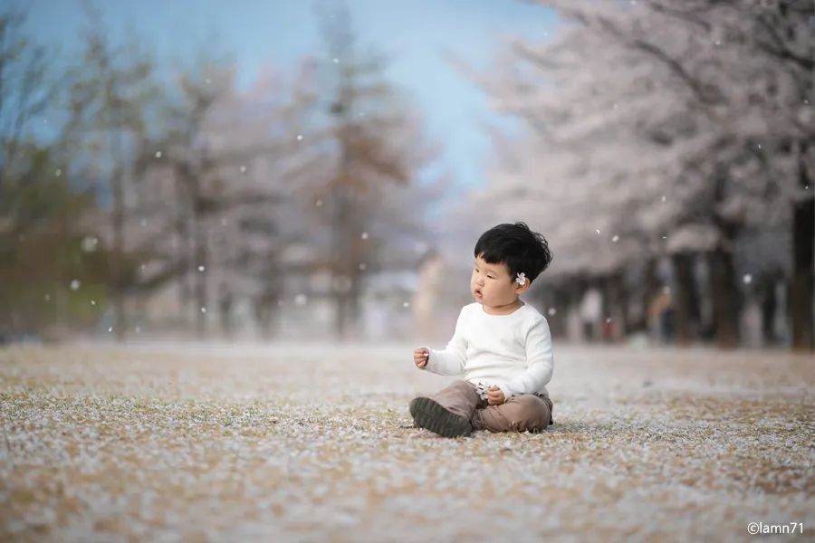 아웃포커스 사진 피사체 분리 배경 처리 색감 조절_1