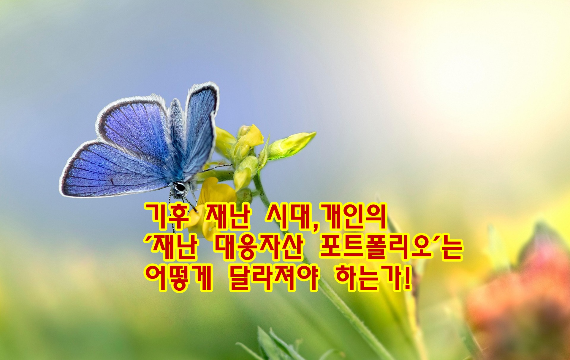 기후 재난 시대, 개인의 &lsquo;재난 대응 자산 포트폴리오&rsquo;는 어떻게 달라져야 하는가