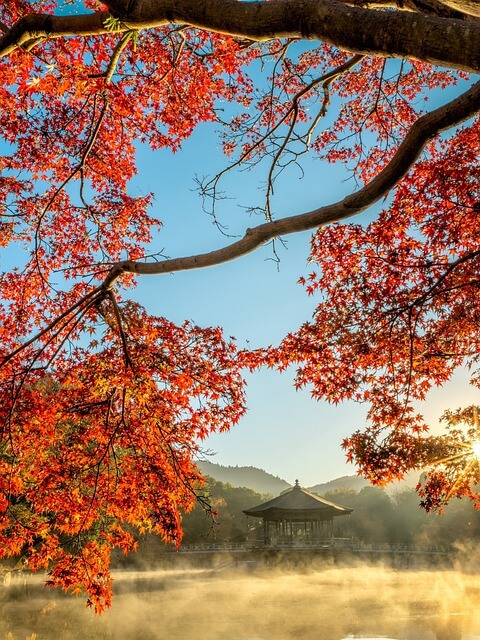 남한산성 단풍 시기 코스 총정리