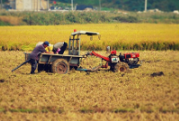 농지취득자격증명 요건 및 발급 절차, 신청 방법