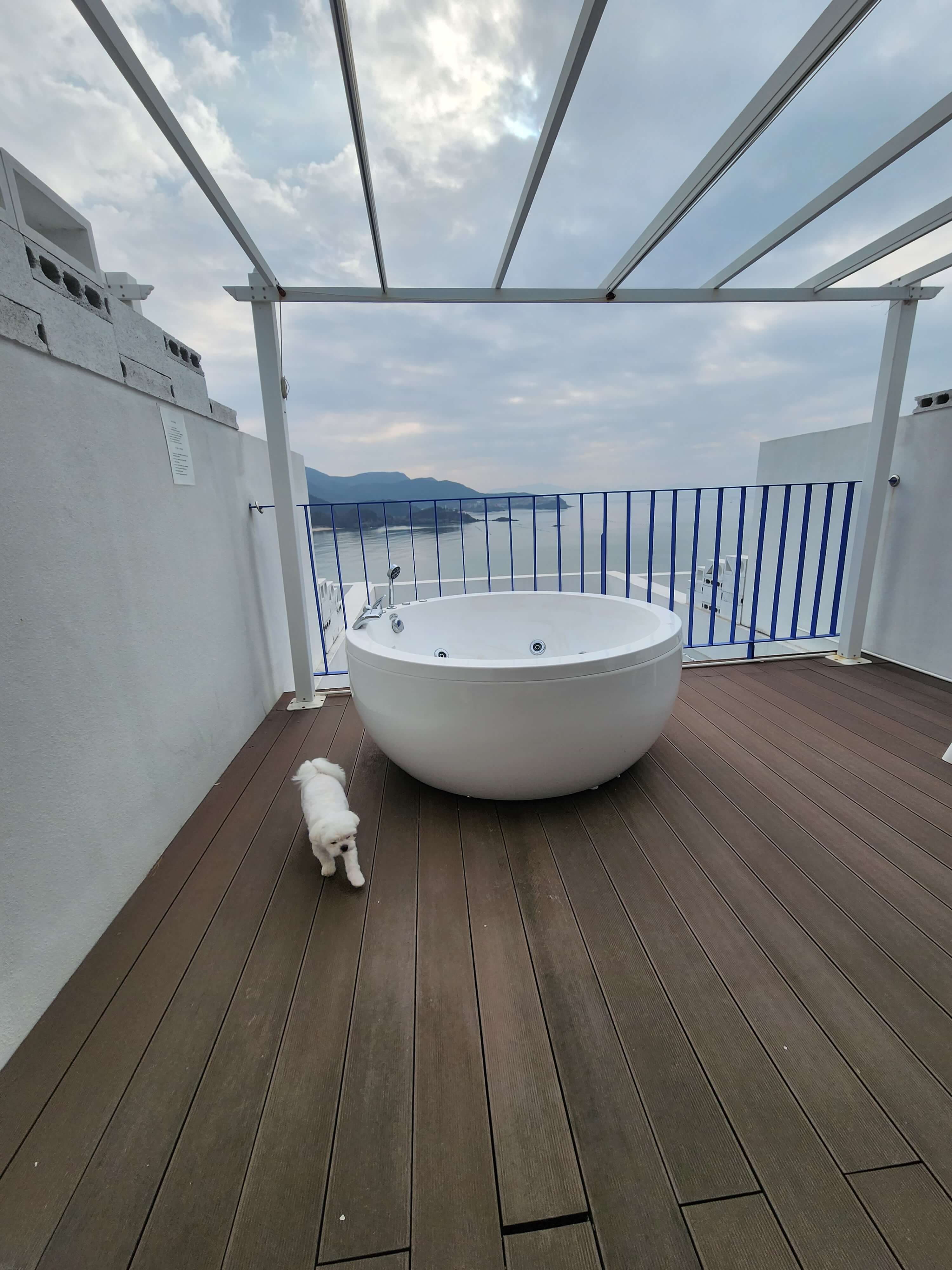 반려견과 변산반도여행 해시락풀빌라