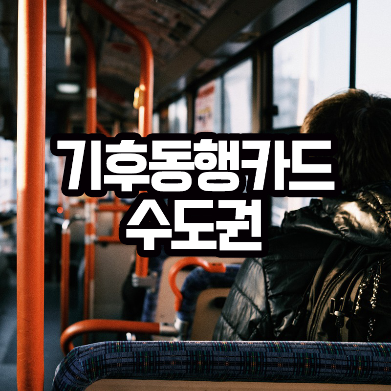 기후동행카드