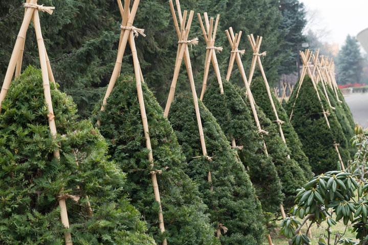 조경기능사 취업