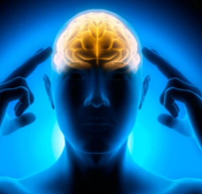 공진단-효능-먹는법-건강