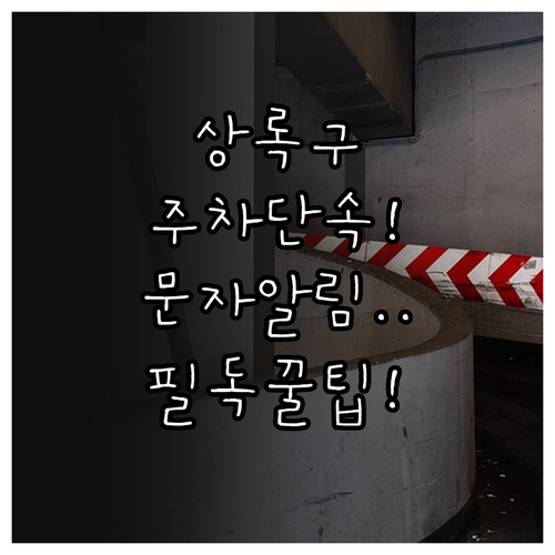 안산 상록구 주차 단속 전 문자 알림..