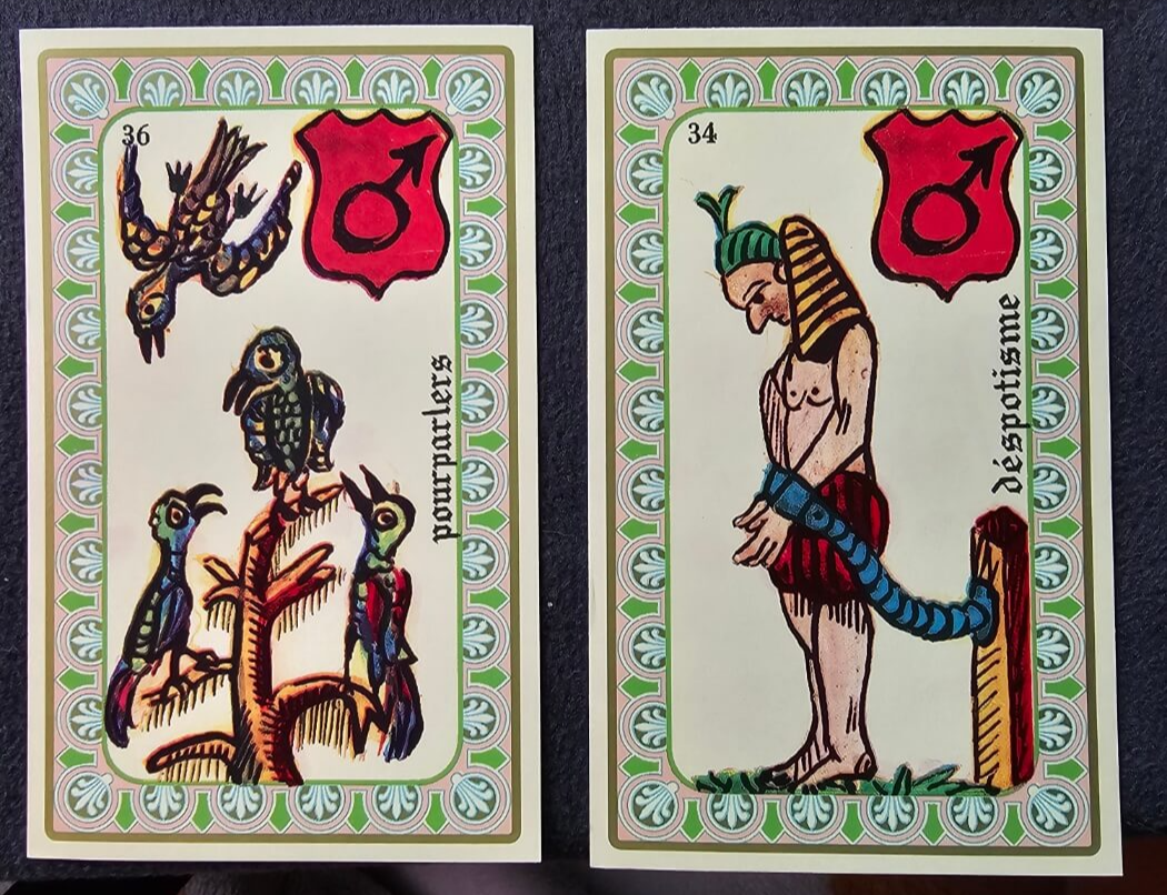 오라클 벨린 카드 배우기