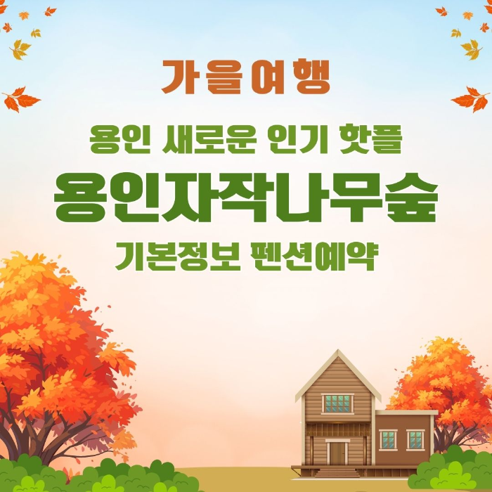 용인/새로운/인기/핫플/용/자작나/숲