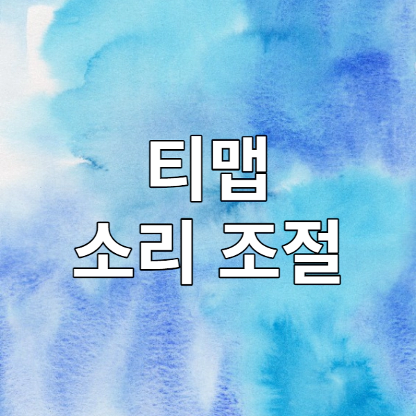 티맵 소리 조절