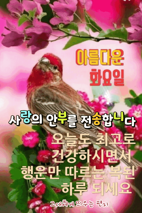 4. 화요일 인사말 10