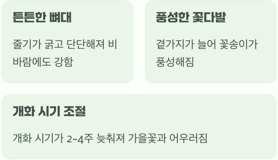 '순지르기'의 세 가지 놀라운 효과