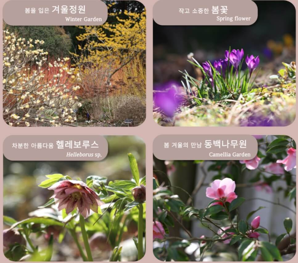 천리포수목원-꽃들