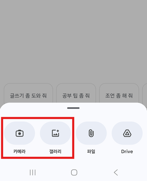 3. 사진으로 질문하기
