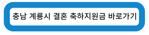 충남 계룡시 결혼 축하지원금 바로가기