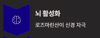 직장인에게 좋은 건강차 3가지