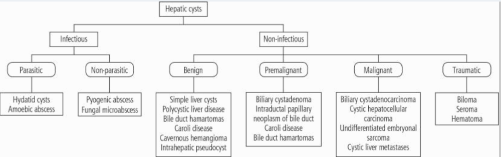 Classification of cystic hepatic lesions
