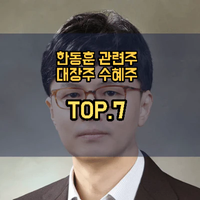 한동훈-관련주