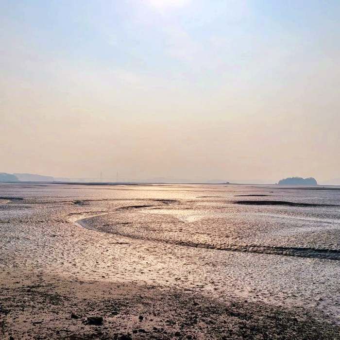 생생정보 조회 수 75만 뷰 은퇴 부부의 해루질 낮루질 촬영 도전기 영상