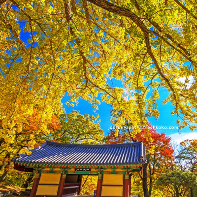단풍 여행하기 좋은곳