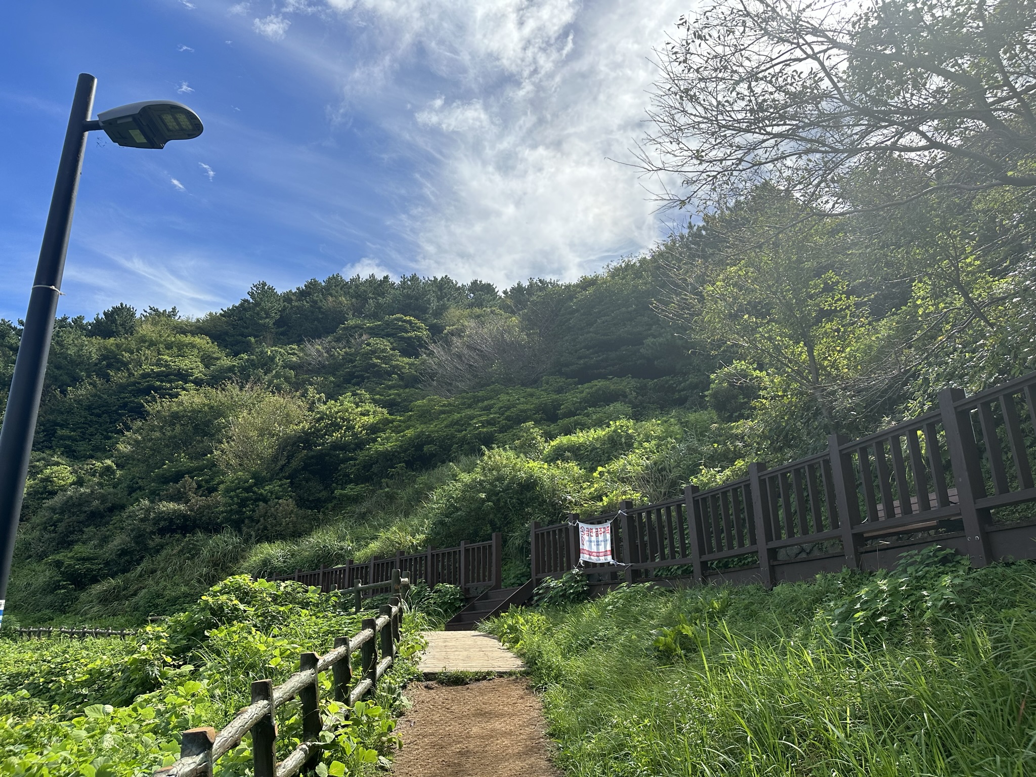 별도봉 산책로