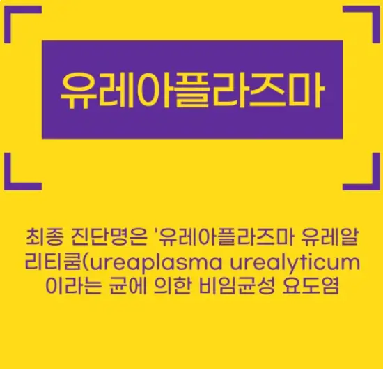 유레아플라즈마