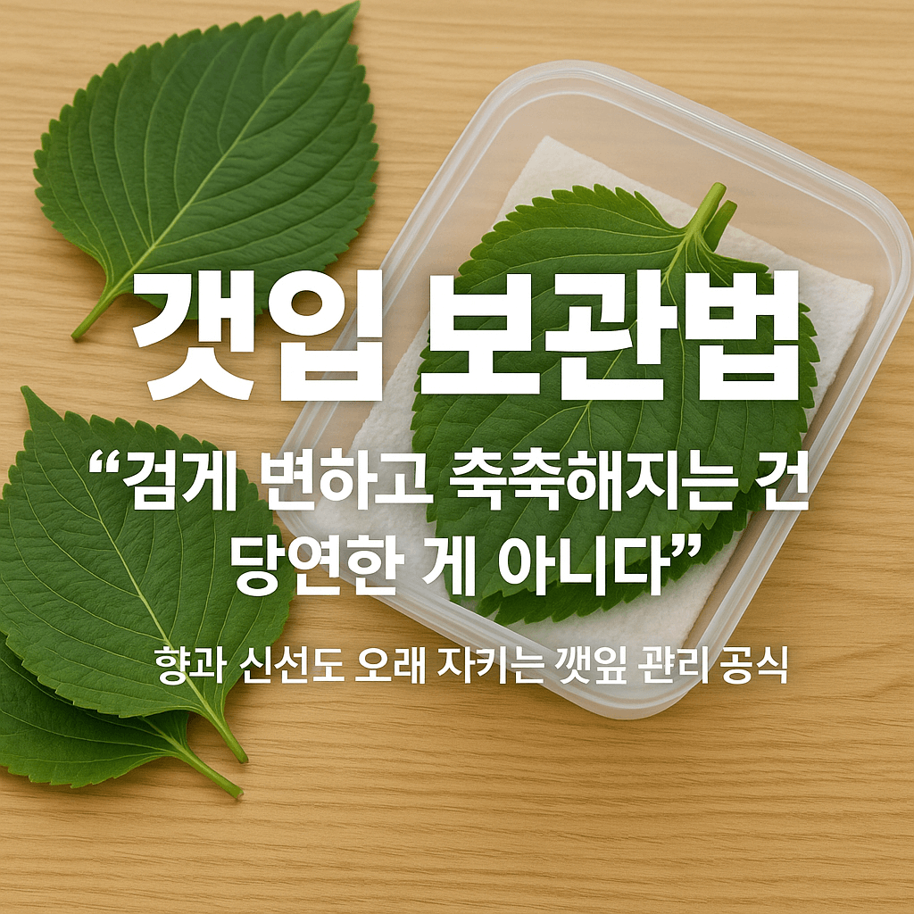 깻잎 보관법, “검게 변하고 축축해지는 건 당연한 게 아니다”