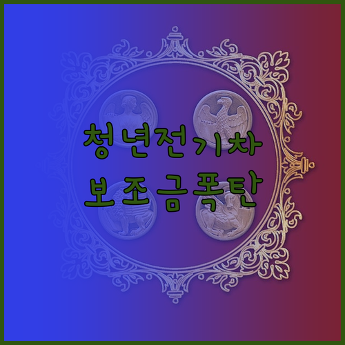 2024년 청년 전기차 추가 보조금 ..