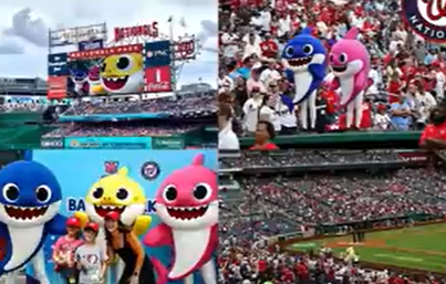 더핑크퐁컴퍼니 공모주 일정