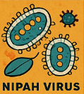 니파 바이러스
