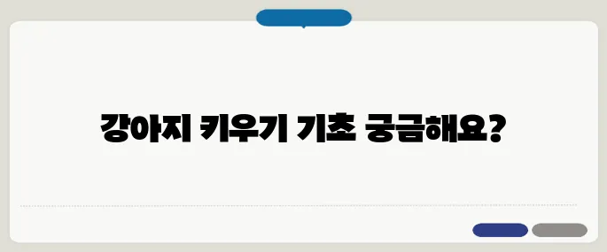애완용강아지 초보자를 위한 기초 정보