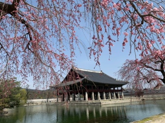 2025년 하반기 경복궁 경회루 특별관람