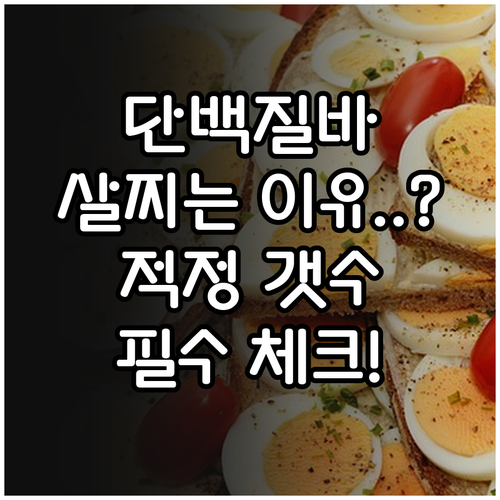 다이어트 간식 단백질바 주의사항과 하..