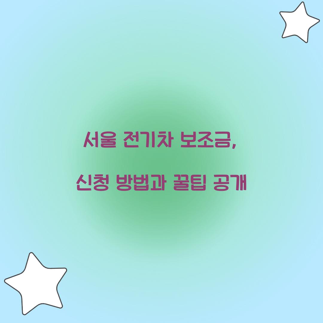 서울 전기차 보조금