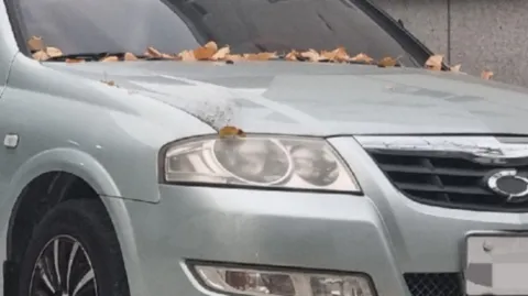 wp_자동차 라이트(헤드램프) 셀프 복원