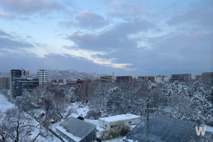 삿포로 눈축제 개요 3