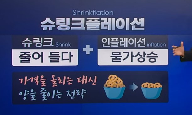 슈링크 플레이션 뜻 개념