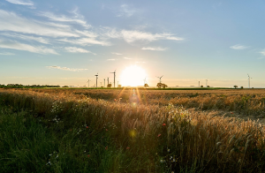 재생에너지의 환경적 영향: 진짜 친환경일까?