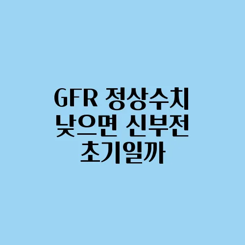 GFR 정상수치 낮으면 신부전 초기일까