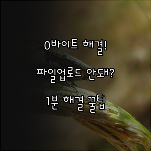 네이버 메일 0바이트 오류 및 특정 ..