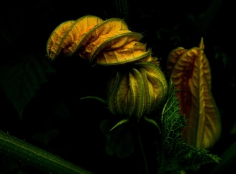 노폐물 배출을 돕는 해독 식품 BEST 7! 건강한 몸 만들기