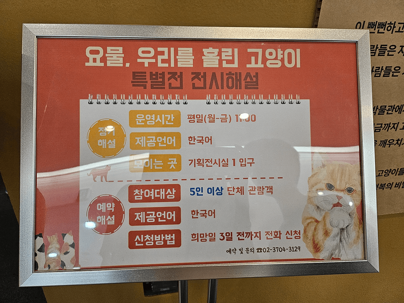 국립민속박물관, 고양이전시, 광화문전시, 종로전시, 추천전시, 어린이전시추천