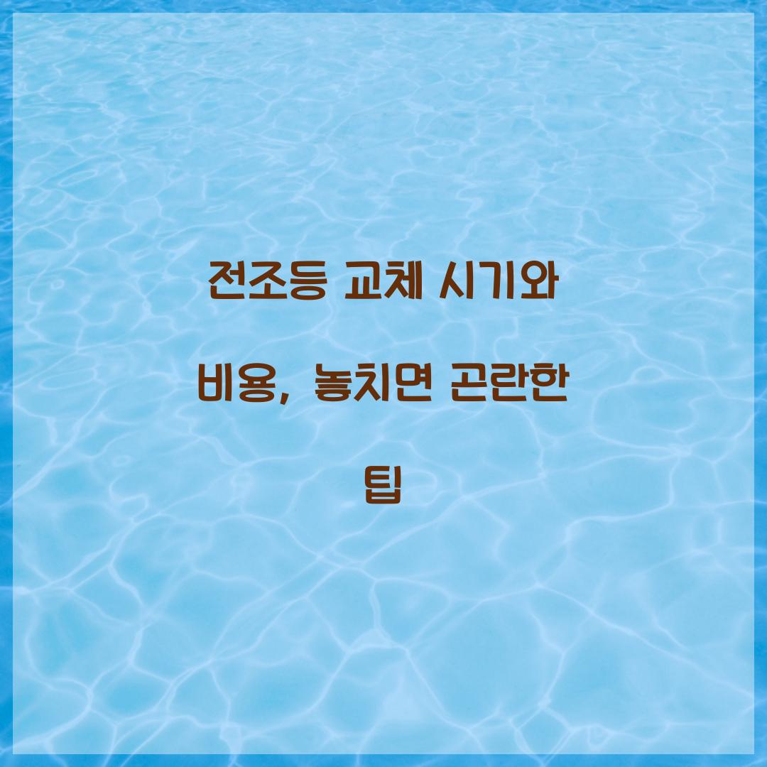 전조등 교체