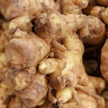 생강 임산부 먹어도 될까